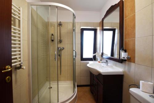 ein Badezimmer mit Dusche und Waschbecken in der Unterkunft Lazoo Experience in Pitaru