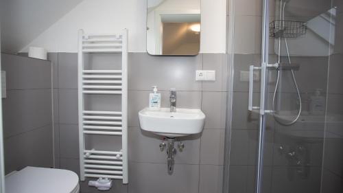 a bathroom with a toilet and a sink and a shower at Cesar Apartments in Wathlingen