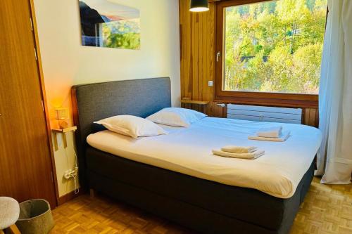 Spacious flat with views of Mont Blanc Parking
