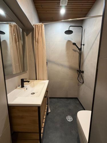 a bathroom with a sink and a shower at Jakobsoni 15 Apartmendid in Viljandi
