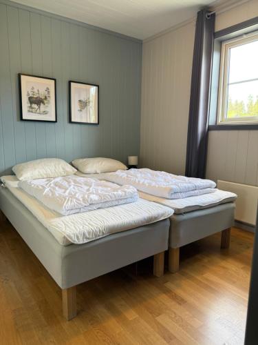 two twin beds in a bedroom with a window at Lemonsjøen, Jotunheimen in Vaga