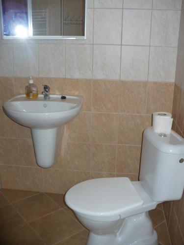 a bathroom with a white toilet and a sink at Penzion Mánes in Krabčice