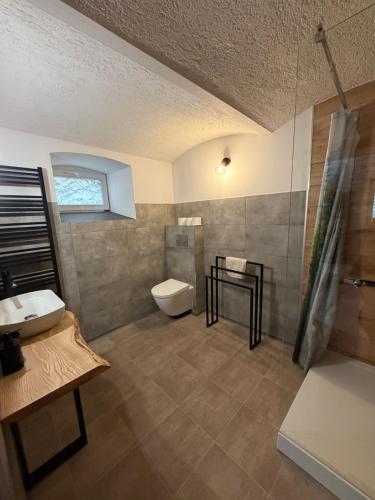 a bathroom with a toilet and a sink and a shower at Chata na Karpackiej in Kostrzyca
