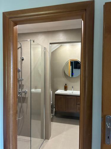 a bathroom with a shower and a sink and a mirror at Two Mills Apartments in Myrina