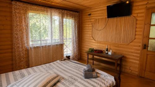 a bedroom with a bed and a television and a window at Mountain House in Mykulychyn