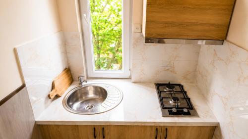 a kitchen with a sink and a stove at Tuz House R6 in Bakuriani