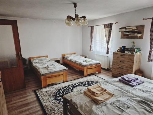 a room with two beds and a dresser in it at Chalupa u dvou žab in Janov