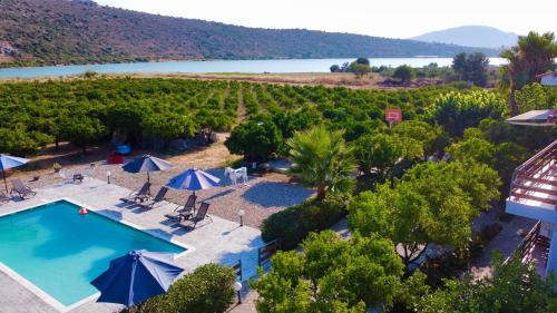 an aerial view of a resort with a pool and a vineyard at Ktima Klimentini in Vivari