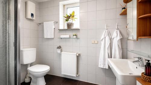 a white bathroom with a toilet and a sink at Wohnung für 4 Personen, 2 Schlafzimmer, Küche, Wlan in Großostheim