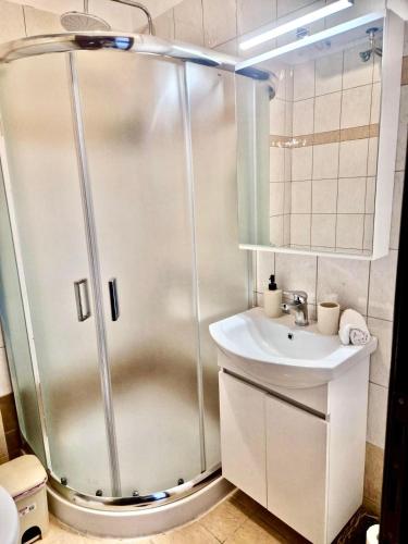 a bathroom with a shower and a sink at Gemütliche Wohnung mit Balkon in Orestiada