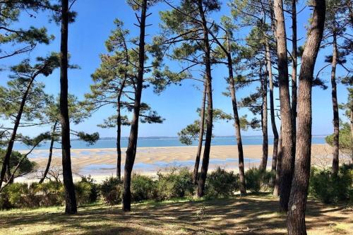 Apartment with balcony in the heart of Arcachon