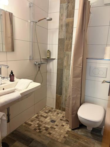 a bathroom with a shower and a toilet and a sink at Franz - Josef in Emmingen-Liptingen