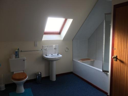 a bathroom with a toilet and a sink and a window at Buzzards Nest Cottage in Roybridge