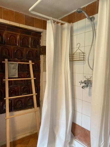 a bathroom with a shower curtain and a shelf at Jégmadár Festőporta in Somogyfajsz