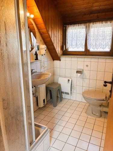 a small bathroom with a toilet and a sink at Hotel Garni KAMBEITZ in Ötigheim