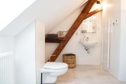 a bathroom with a toilet and a sink at statek P22 in Semněvice