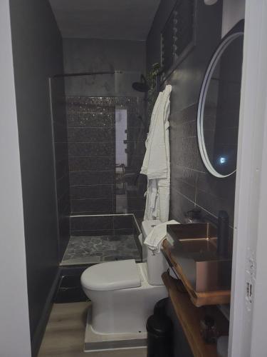 a bathroom with a shower and a toilet and a sink at Love Room Owfeah in Pointe-à-Pitre