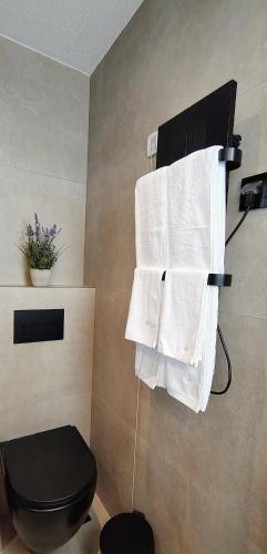 a bathroom with a toilet and towels hanging on a wall at Sky Panorama in Soko Banja