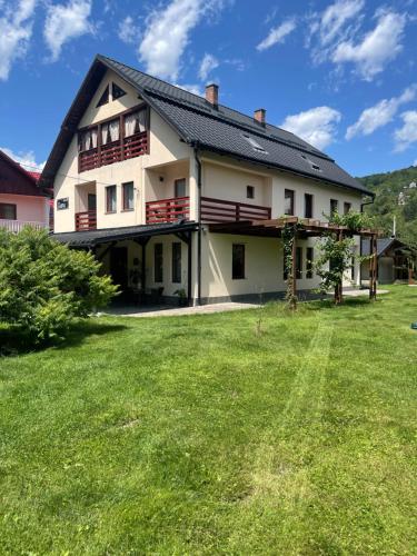 a large white house with a large yard at Gama House & Garden with restaurant in Vişeu de Sus