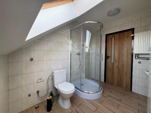 a bathroom with a toilet and a shower at Noclegi Antoniewo in Morąg