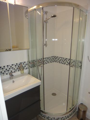 a bathroom with a shower and a sink at Fewo Andresen Hahnenklee in Hahnenklee-Bockswiese