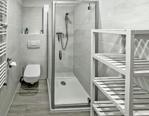 a small bathroom with a shower and a toilet at Bugoase in Dranske