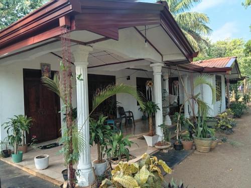 a house with a porch with potted plants at Elephant safari Lodge sigiriya junction in Habarana