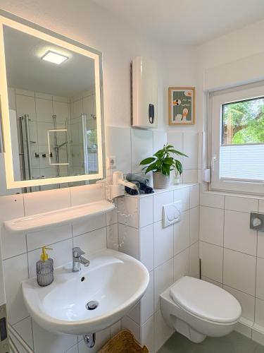 a bathroom with a sink and a toilet and a mirror at Landhaus Holly in Frielendorf