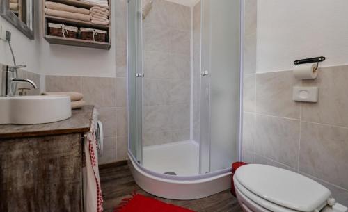 a bathroom with a shower and a toilet and a sink at Breg&Spa in Beretinec