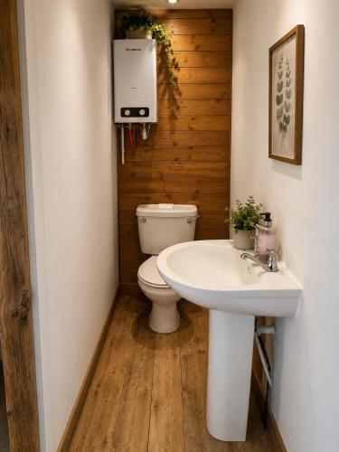 a bathroom with a toilet and a sink at Oceanview Cosy Cabin in Drumaville