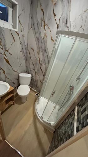 a bathroom with a glass shower and a toilet at Victor Hugo's Le Central in Saint-Junien