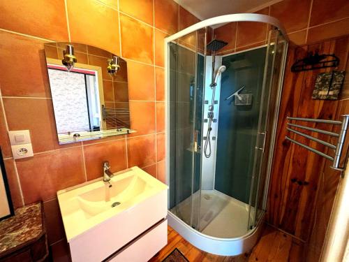 a bathroom with a sink and a shower at Aux Caprices des Dieux in Marnes