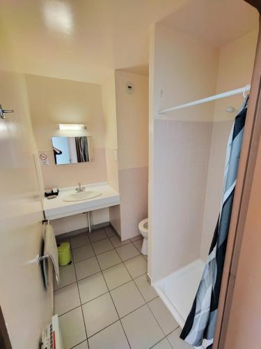 a bathroom with a sink and a toilet and a mirror at Auberge du Tarnon in Vébron