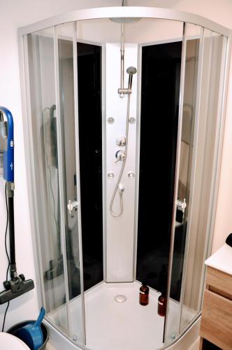 a shower with a glass enclosure in a bathroom at Dormir près de Brioude - studio 'esprit cocon' in Fontannes