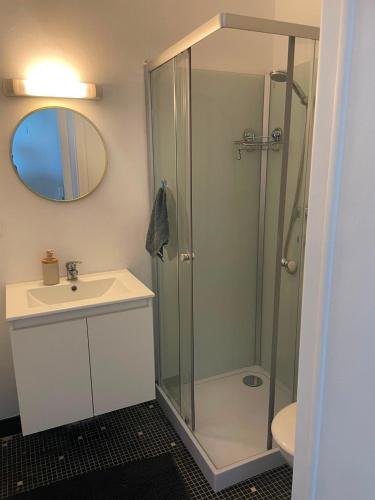 a bathroom with a shower and a sink and a mirror at Barbe Bleue 1982 in Bridoré