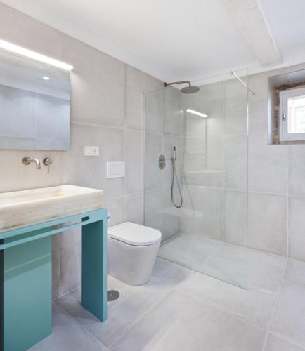 a bathroom with a toilet and a sink and a shower at Casa Caseiros, Couso in Gondomar