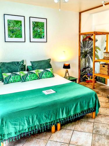 a bedroom with a bed with a green blanket at Maison d'hôtes Villa des Mascareignes in Petite Île