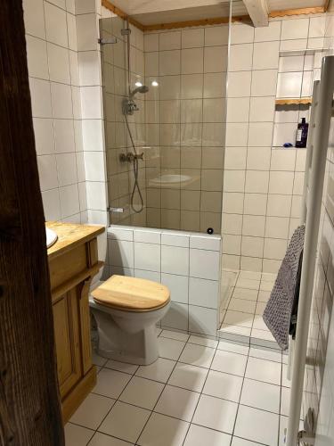 a bathroom with a shower and a toilet and a sink at Squaw Peak in Morzine