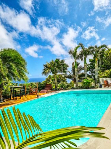 a swimming pool with palm trees and a blue sky at Maison d'hôtes Villa des Mascareignes in Petite Île