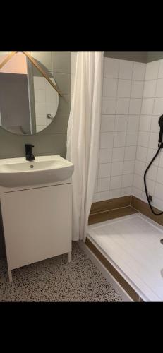 a bathroom with a sink and a mirror and a shower at La Maisonnette in Nîmes