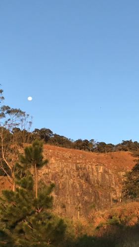 a palm tree on a hill with a blue sky at Eco-Refúgio Cantareira in Mairiporã