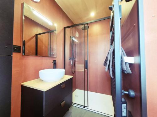 a bathroom with a sink and a shower at KOARI - Studio Clim, Piscine in Auch