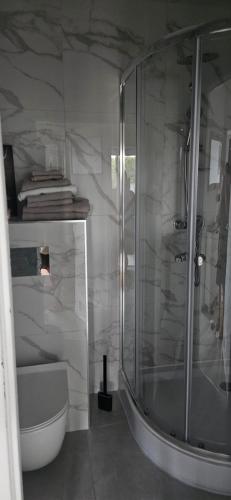 a bathroom with a glass shower and a toilet at Blick auf die Kirche in Wschowa