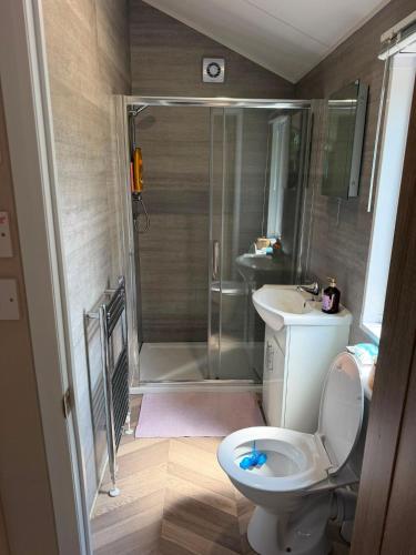 a bathroom with a shower and a toilet and a sink at Zonnestraal in Harderwijk
