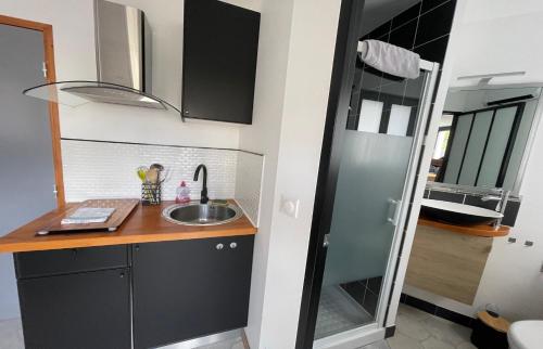 a small kitchen with a sink and a mirror at Le Parvis de PONT-AVEN in Pont-Aven