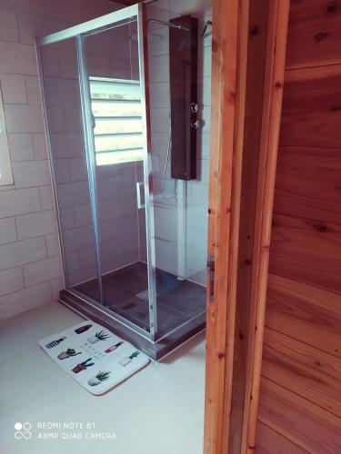 a shower with a glass door in a bathroom at Le ptit coin mont vert in Saint-Pierre