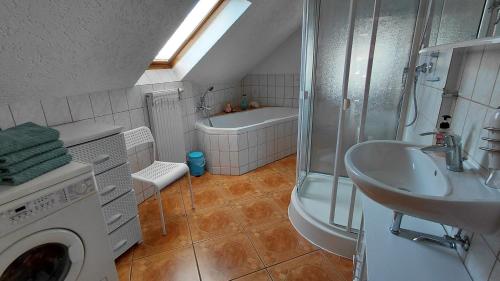 a bathroom with a shower and a sink and a washing machine at Pension & Ferienwohnung Eitler in Aue-Bad Schlema