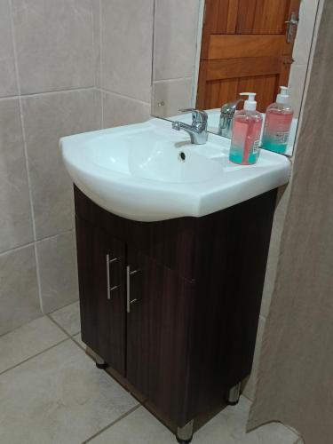 a bathroom with a white sink and a mirror at Skaap Kraal Guest Farm in Kakamas