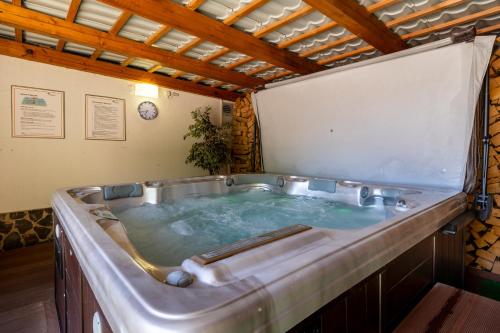 ein Whirlpool mitten im Zimmer in der Unterkunft JBX Albatros Lipno in Přední Výtoň