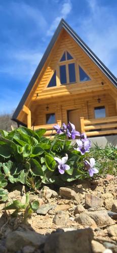 a house with purple flowers in front of it at BB CHALET in Kolašin